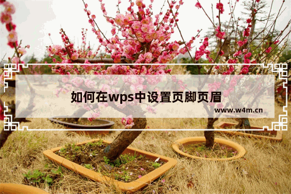 如何在wps中设置页脚页眉