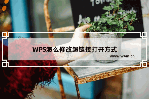 WPS怎么修改超链接打开方式