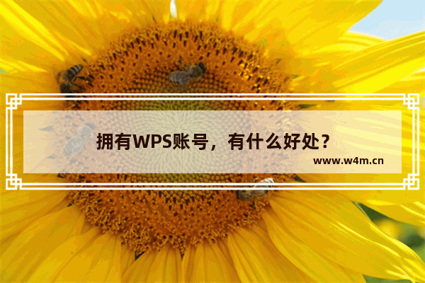 拥有WPS账号，有什么好处？