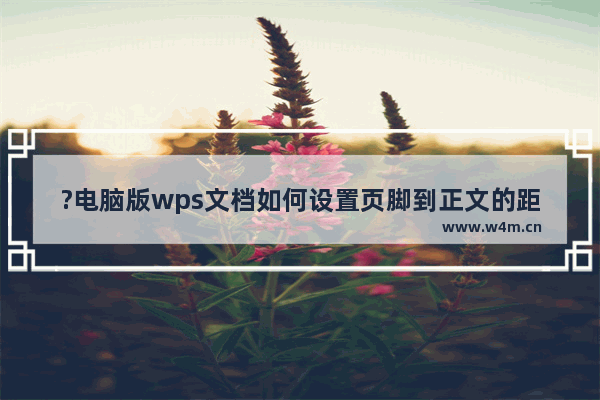 ?电脑版wps文档如何设置页脚到正文的距离