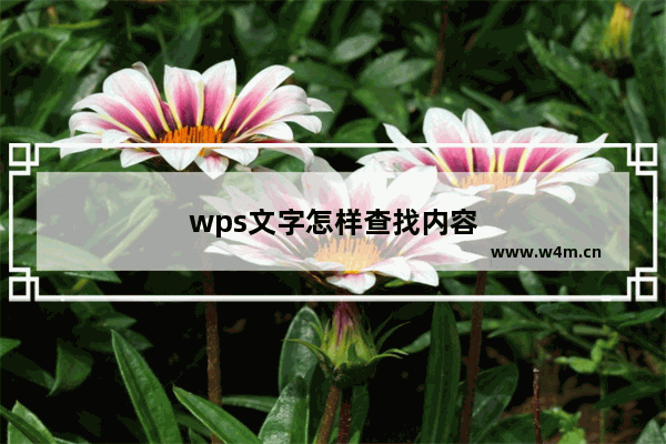 wps文字怎样查找内容