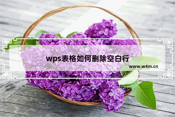 wps表格如何删除空白行