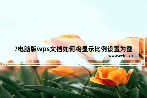 ?电脑版wps文档如何将显示比例设置为整页