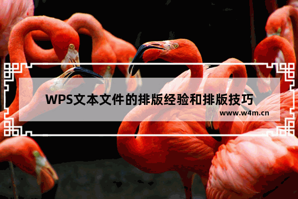 WPS文本文件的排版经验和排版技巧