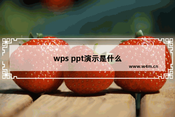 wps ppt演示是什么