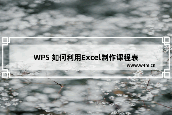 WPS 如何利用Excel制作课程表