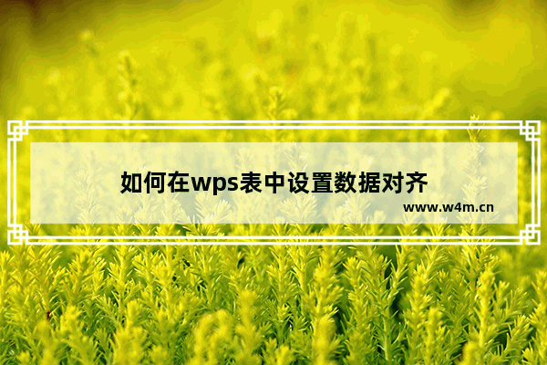 如何在wps表中设置数据对齐