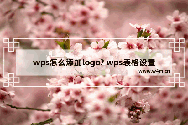 wps怎么添加logo? wps表格设置logo水印的教程