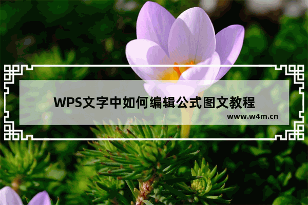 WPS文字中如何编辑公式图文教程