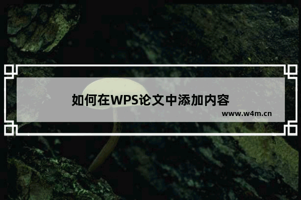 如何在WPS论文中添加内容