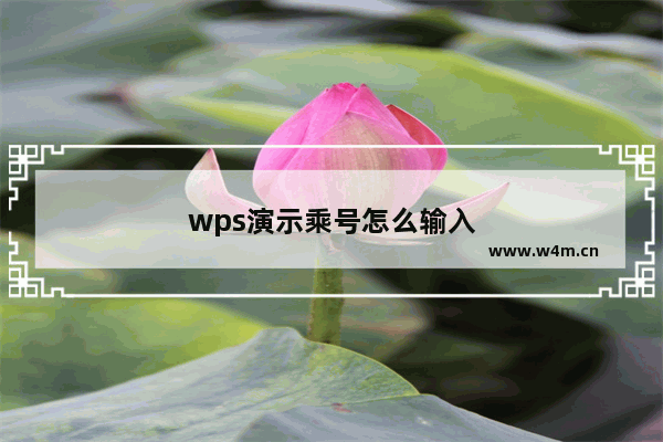 wps演示乘号怎么输入