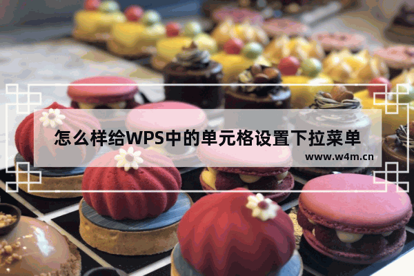 怎么样给WPS中的单元格设置下拉菜单