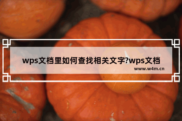 wps文档里如何查找相关文字?wps文档里查找相关文字教程