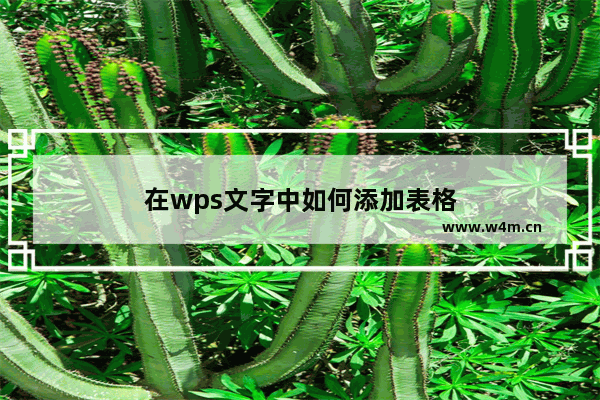 在wps文字中如何添加表格