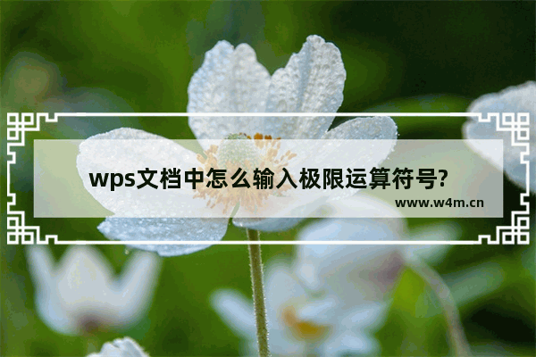 wps文档中怎么输入极限运算符号?