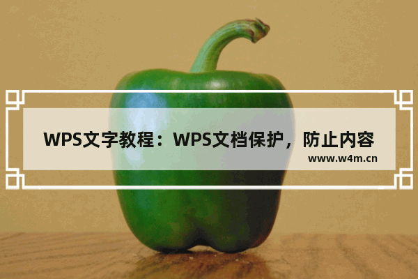 WPS文字教程：WPS文档保护，防止内容被复制的设置方法