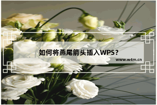 如何将燕尾箭头插入WPS？