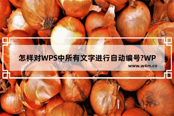 怎样对WPS中所有文字进行自动编号?WPS中所有文字自动编号的教程