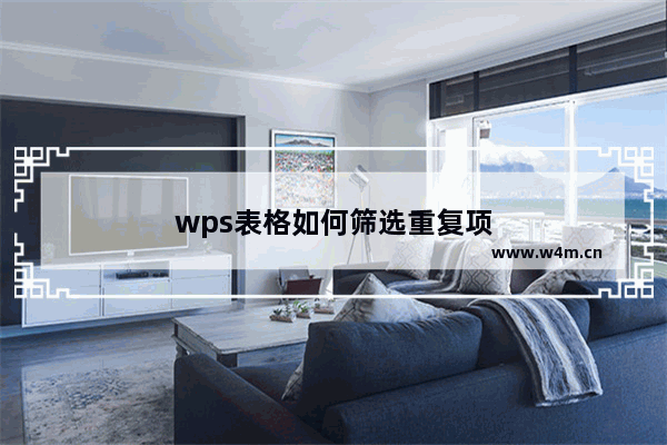 wps表格如何筛选重复项