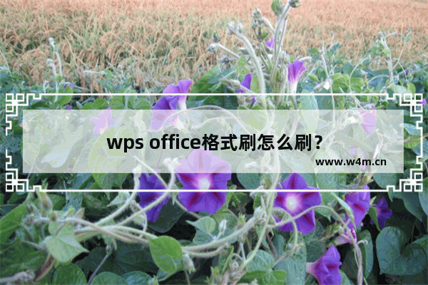 wps office格式刷怎么刷？