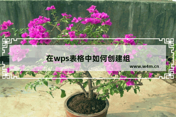 在wps表格中如何创建组