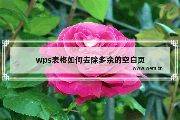 wps表格如何去除多余的空白页