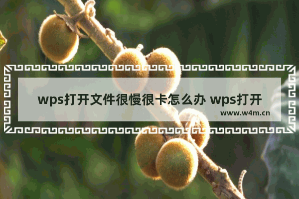 wps打开文件很慢很卡怎么办 wps打开文件很慢很卡解决办法