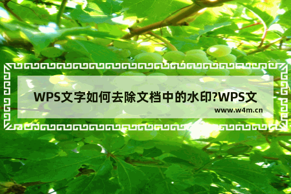 WPS文字如何去除文档中的水印?WPS文字去除文档水印的方法教程