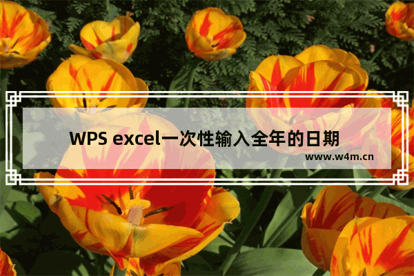 WPS excel一次性输入全年的日期 实现教程