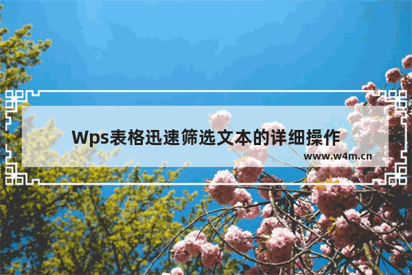 Wps表格迅速筛选文本的详细操作