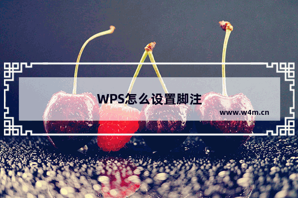 WPS怎么设置脚注