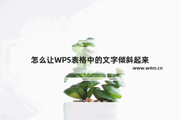 怎么让WPS表格中的文字倾斜起来