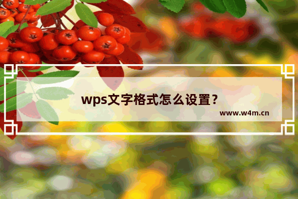 wps文字格式怎么设置？