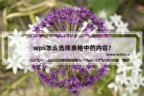 wps怎么选择表格中的内容?