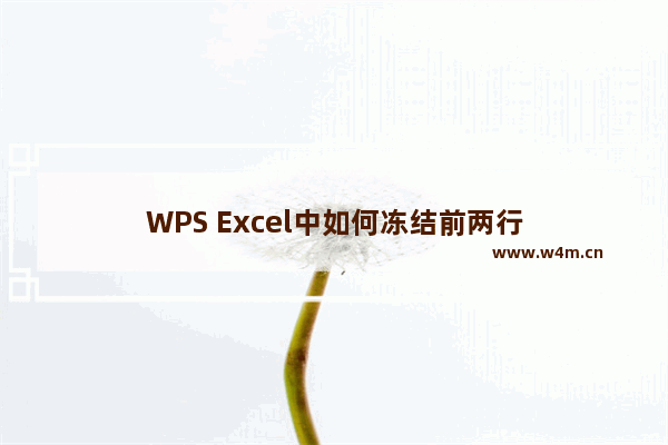 WPS Excel中如何冻结前两行