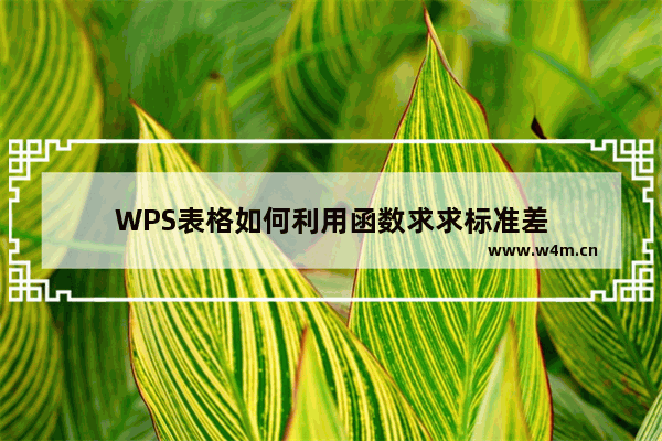 WPS表格如何利用函数求求标准差