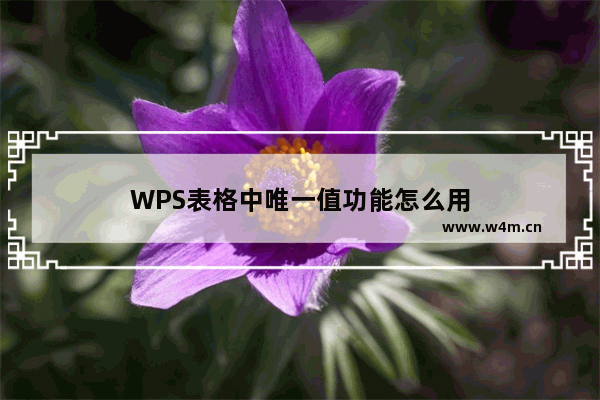 WPS表格中唯一值功能怎么用