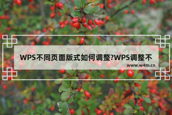 WPS不同页面版式如何调整?WPS调整不同页面版式的方法教程