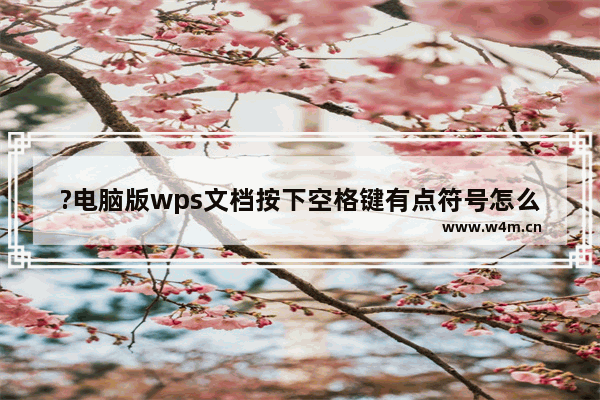 ?电脑版wps文档按下空格键有点符号怎么办