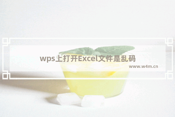 wps上打开Excel文件是乱码