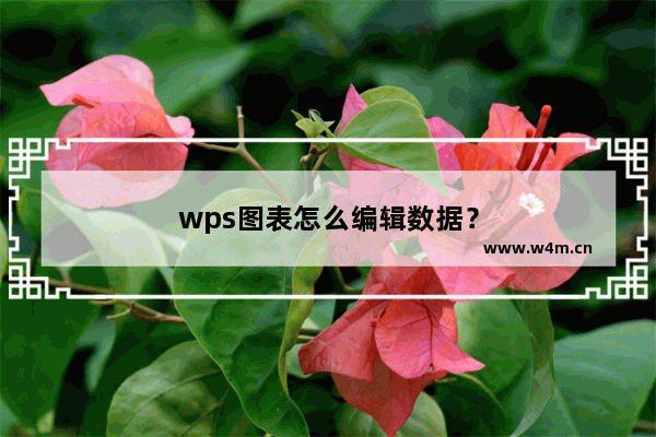 wps图表怎么编辑数据？