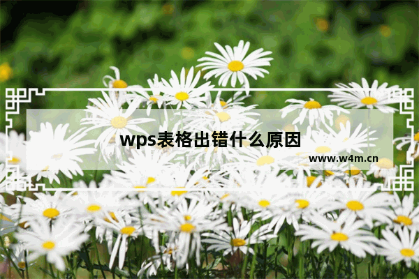 wps表格出错什么原因