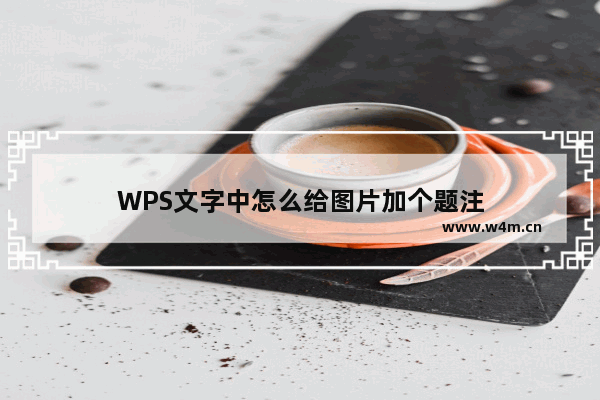 WPS文字中怎么给图片加个题注