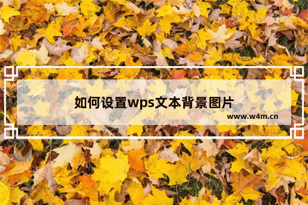 如何设置wps文本背景图片