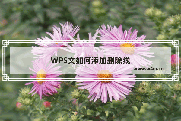 WPS文如何添加删除线