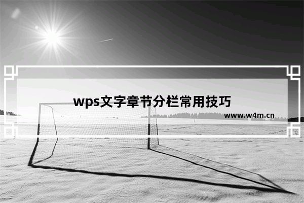 wps文字章节分栏常用技巧