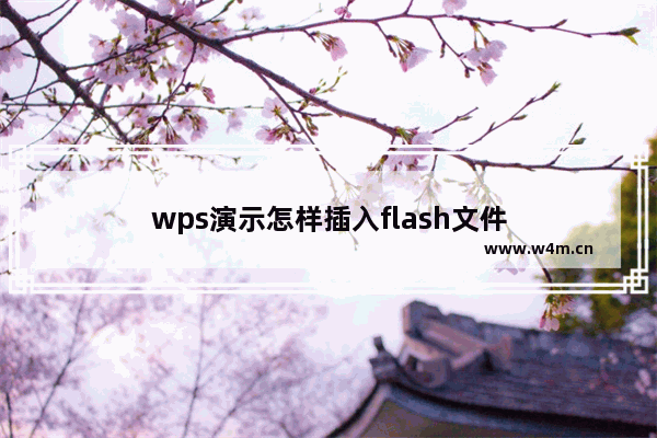 wps演示怎样插入flash文件