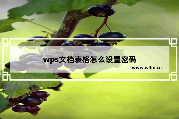 wps文档表格怎么设置密码