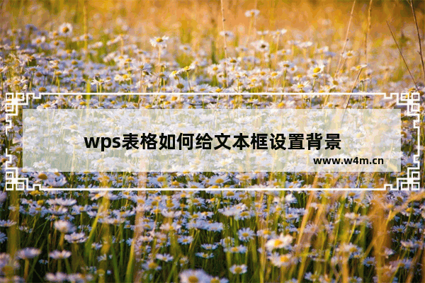 wps表格如何给文本框设置背景