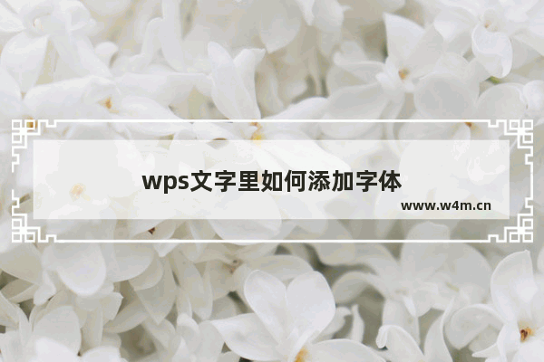 wps文字里如何添加字体